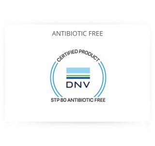ANTIBIOTIC FREE