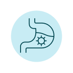 Kefir mikrobi icon